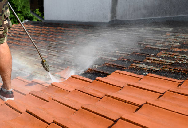 Best Residential Pressure Washing Services  in River Rouge, MI
