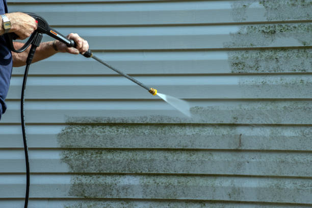 Best Local Pressure Washing Services  in River Rouge, MI
