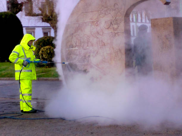 Best Residential Pressure Washing Services  in River Rouge, MI